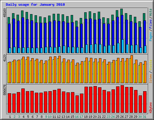 Daily usage for January 2010