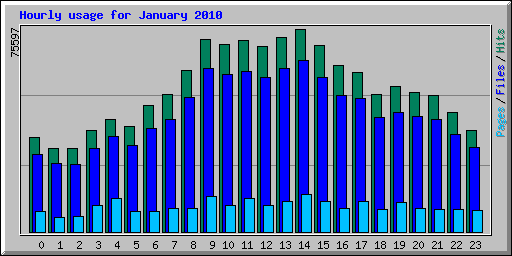 Hourly usage for January 2010